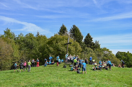 leskovec (13)